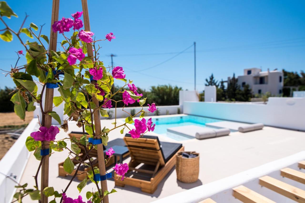 Luxury Villas Plaka Plaka (Naxos) Exterior photo